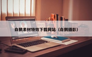 江苏白鹅素材特效下载网站（白鹅摄影）